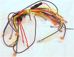 Laars R2028003 - Wiring Harness for the JVT